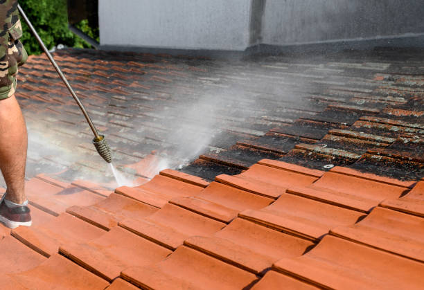 Best Residential Pressure Washing Services  in Venice Gardens, FL