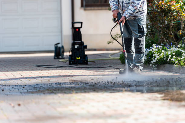 Best Roof Pressure Washing  in Venice Gardens, FL