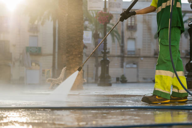 Best Sidewalk Pressure Washing  in Venice Gardens, FL