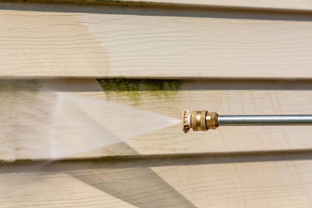 Best Best Pressure Washing Companies  in Venice Gardens, FL